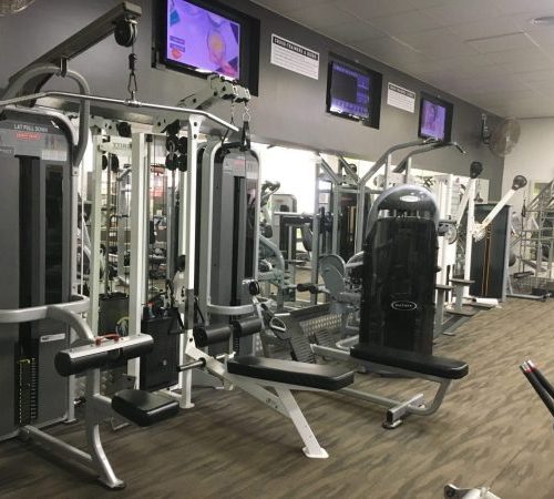 gym equipment weights
